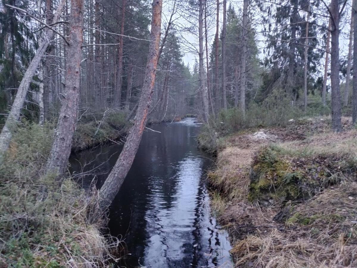 Finn Camping Kangasjoki 수오무살미 외부 사진